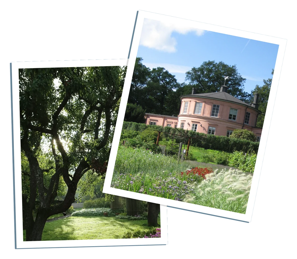 Rosendals Trädgård — the pink garden pavilion and orchard in Djurgården, Stockholm